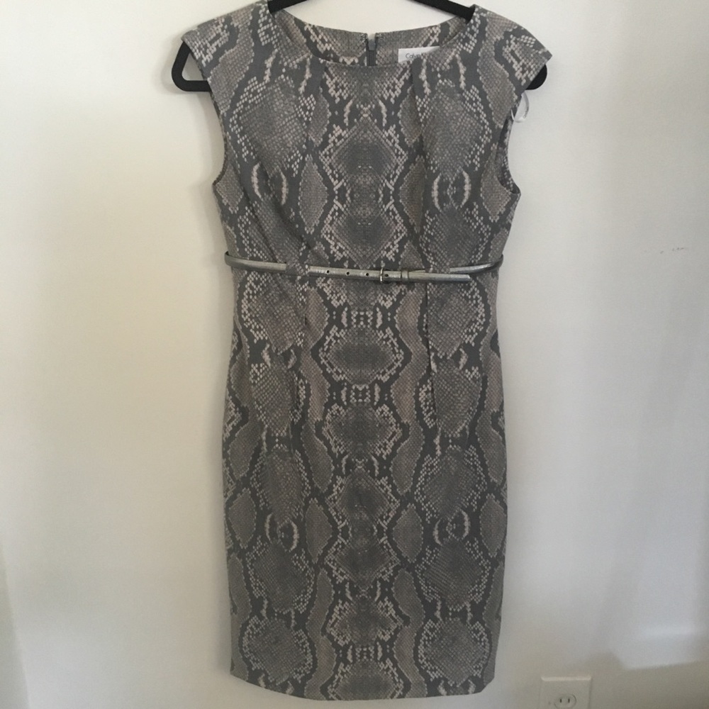 Calvin Klein snake print career dress with belt